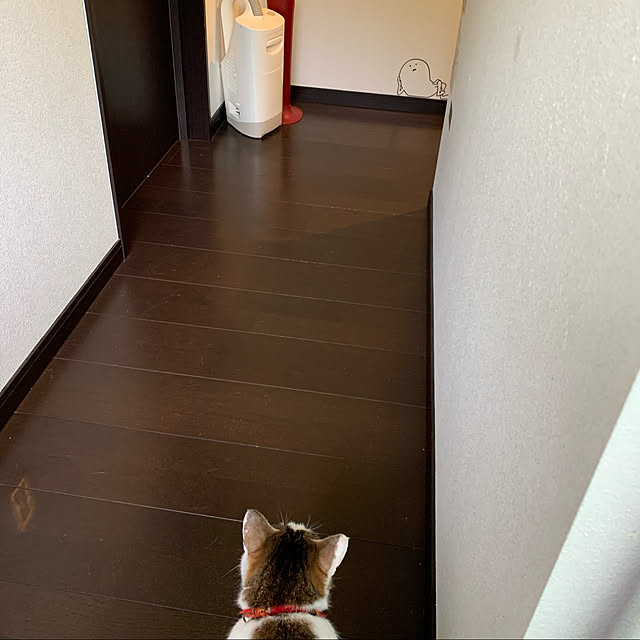 Sayaendoさんの実例写真