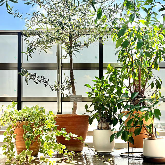 up0524さんの実例写真