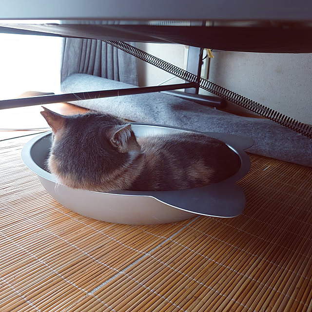 fukuさんの実例写真
