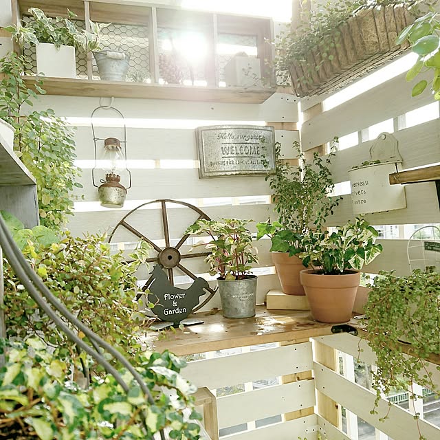 miporin0711さんの実例写真