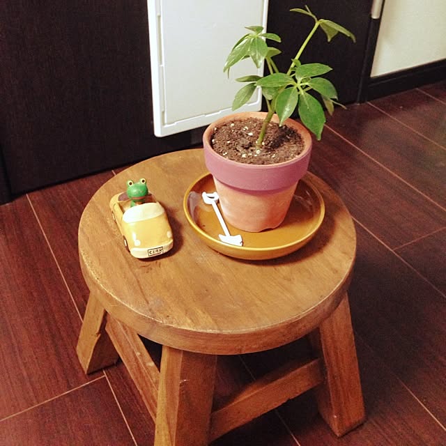 Ponkoさんの実例写真