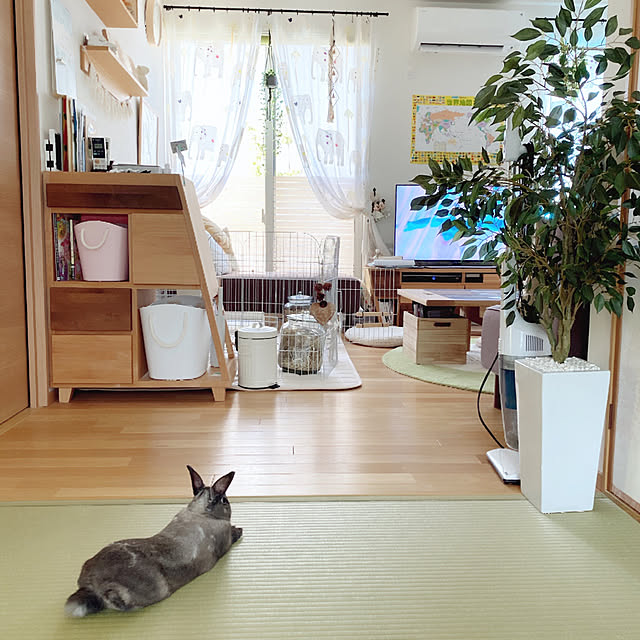 fumofumoさんの実例写真