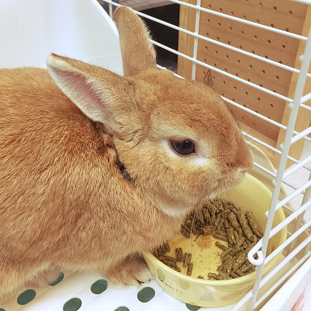 Yasuyukiさんの実例写真
