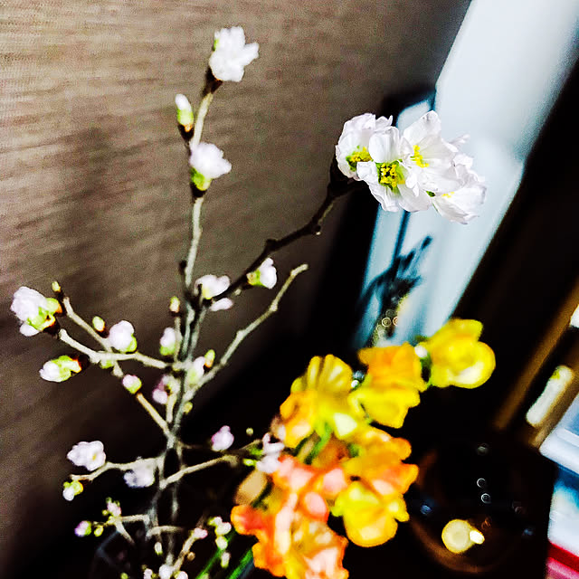 ayaさんの実例写真