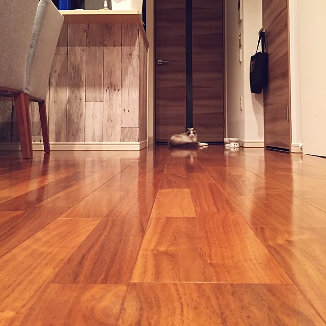 yaccoccoさんの実例写真
