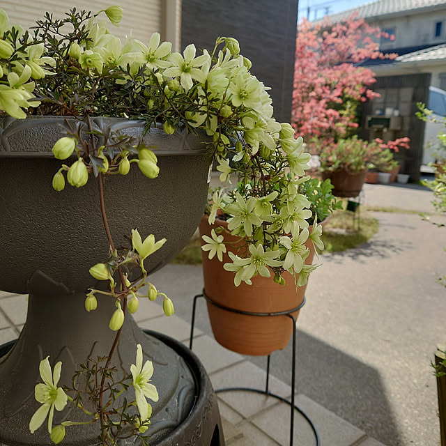 chisa.mioさんの実例写真