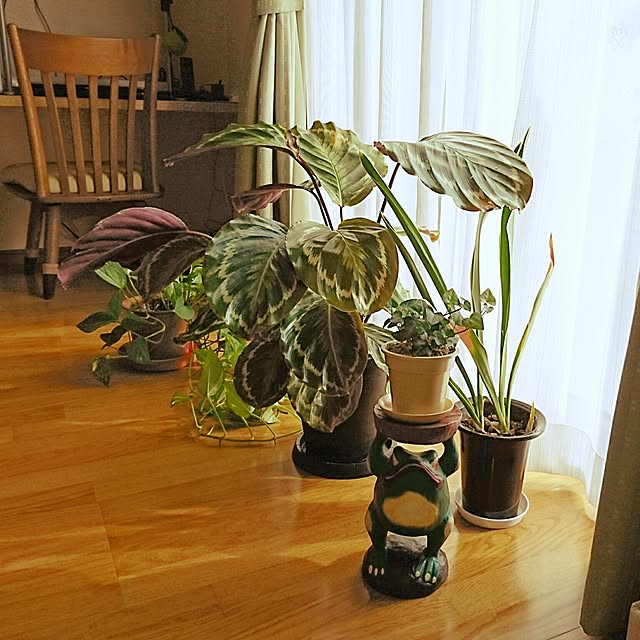 andoromedaさんの実例写真
