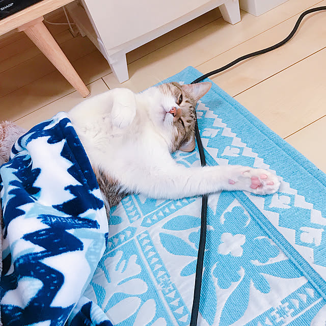 Rubyさんの実例写真