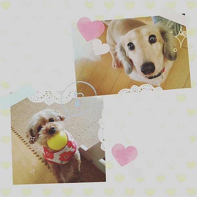 Yuriさんの実例写真
