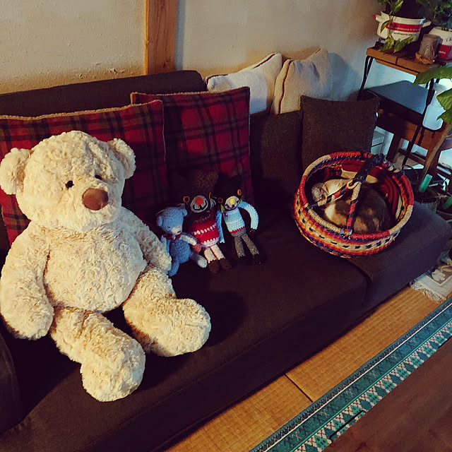 fukuさんの実例写真