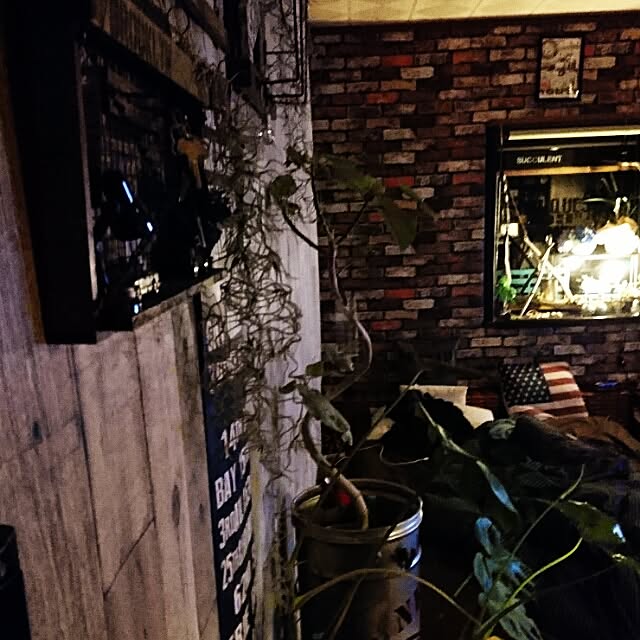 norikuuさんの実例写真