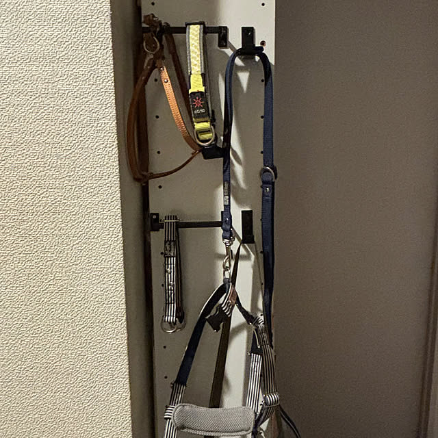 taigonさんの部屋