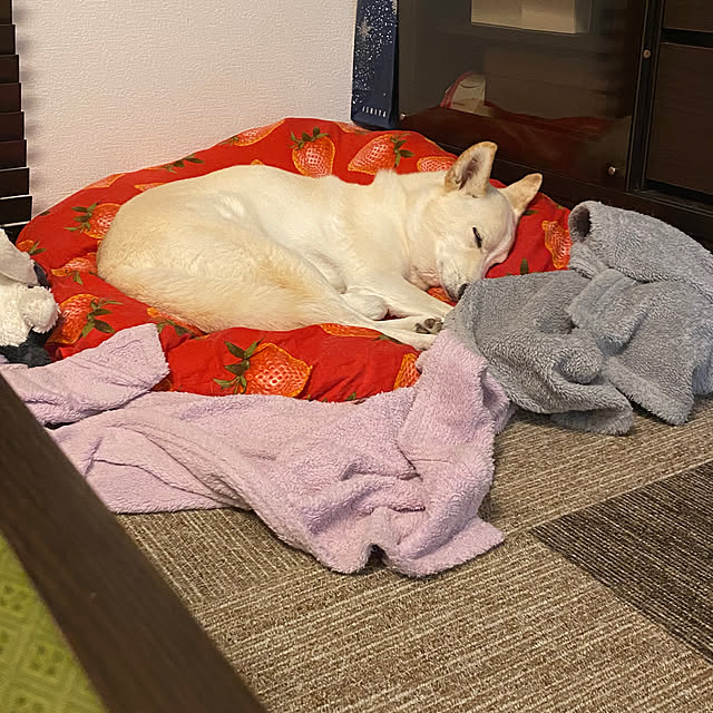 tanboさんの部屋