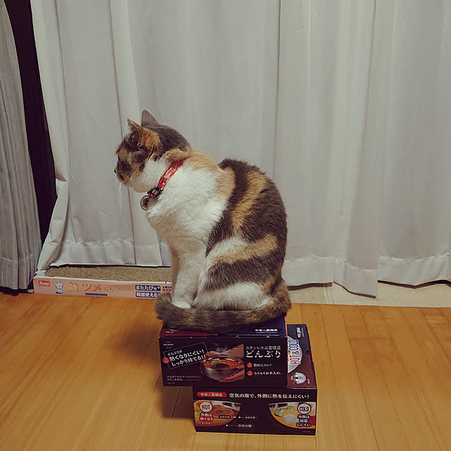 fukuさんの実例写真