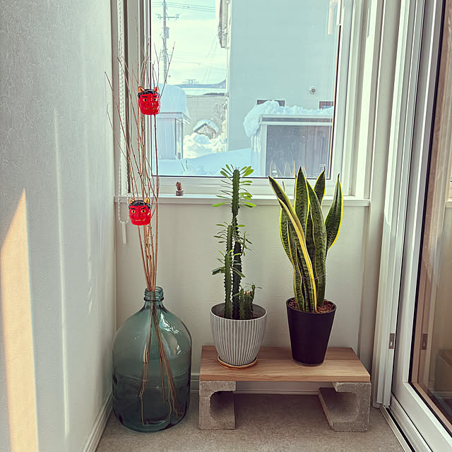 fuuuchan69さんの実例写真