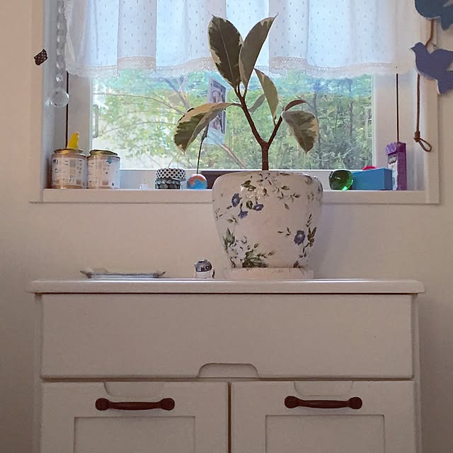 pariさんの実例写真