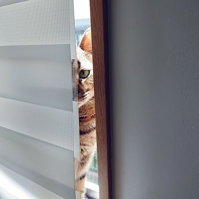 nachiさんの実例写真