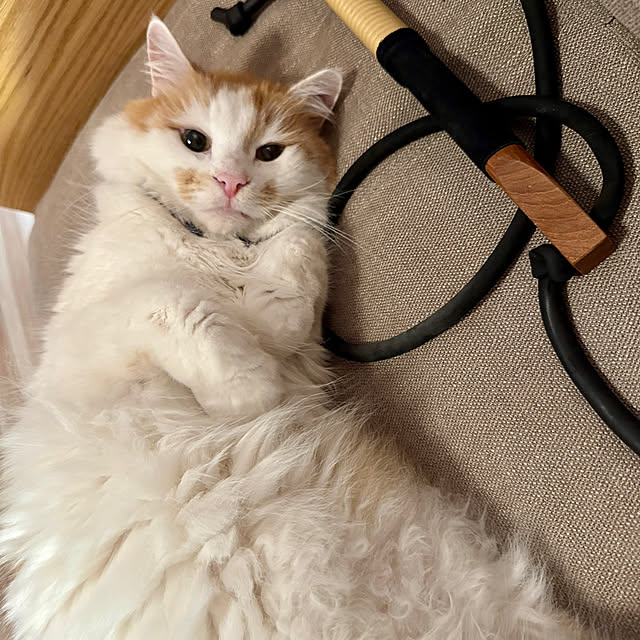 yutaさんの実例写真