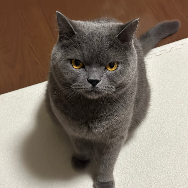 kittyさんの部屋