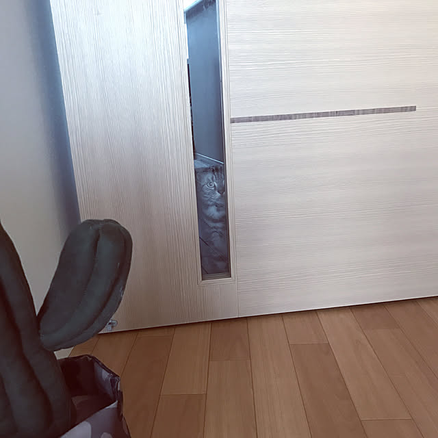 hiyupan88さんの実例写真