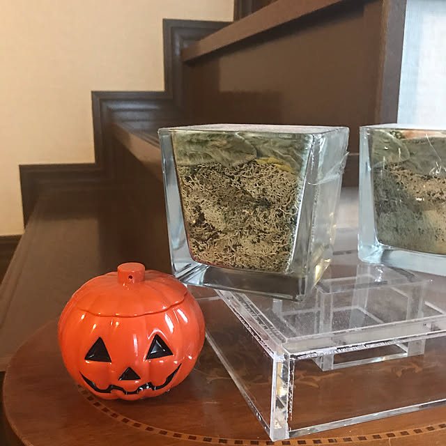 shizukatianzaさんの実例写真