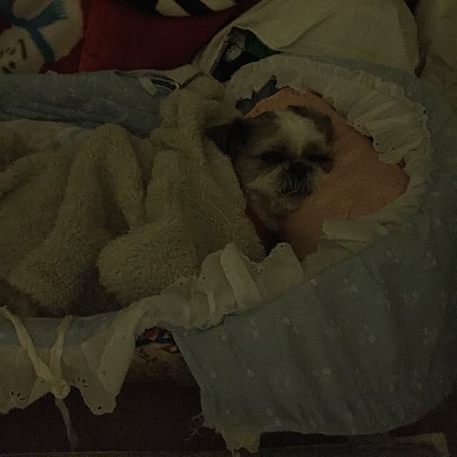 emiさんの実例写真