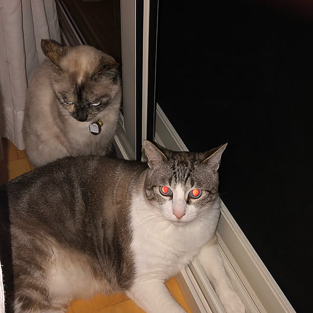 kuuchanさんの実例写真