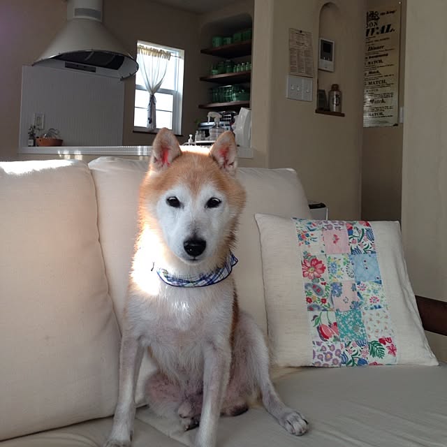 Yukoさんの実例写真