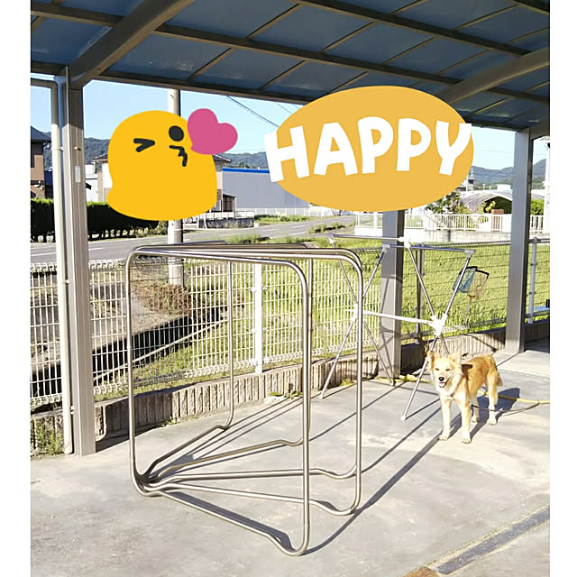 kaoriさんの実例写真