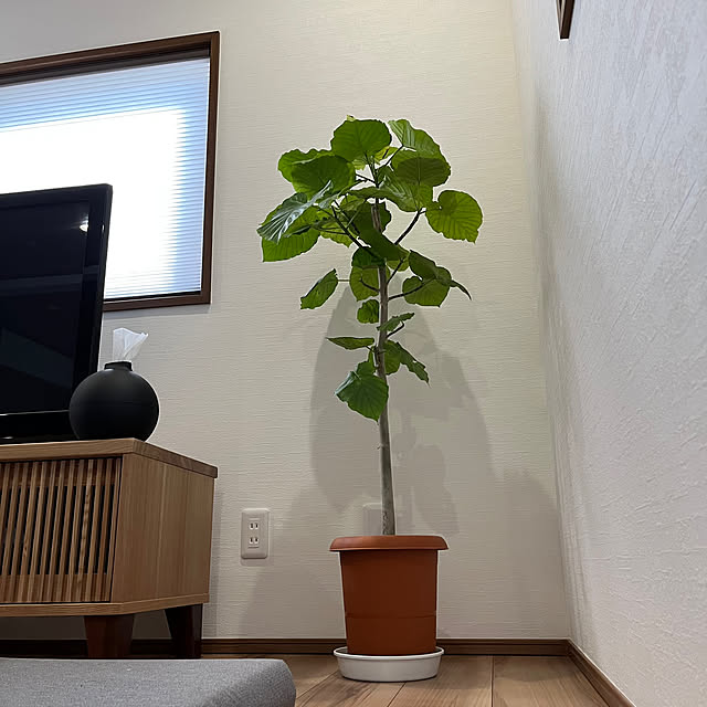 Attaさんの部屋
