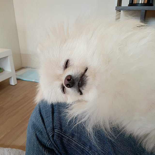 noahさんの実例写真