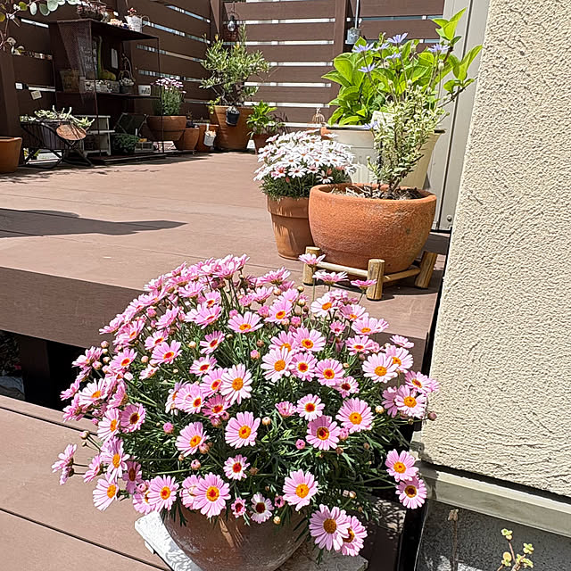 yukkoさんの実例写真