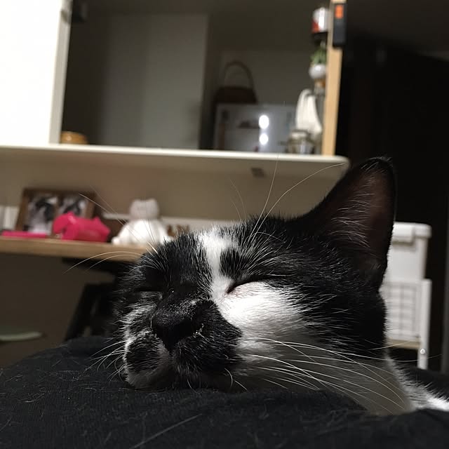 mikomaruさんの実例写真