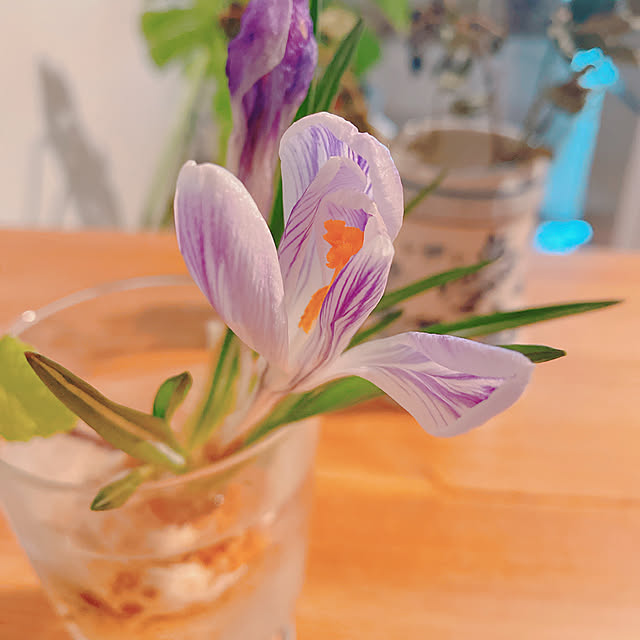 smallroomさんの部屋