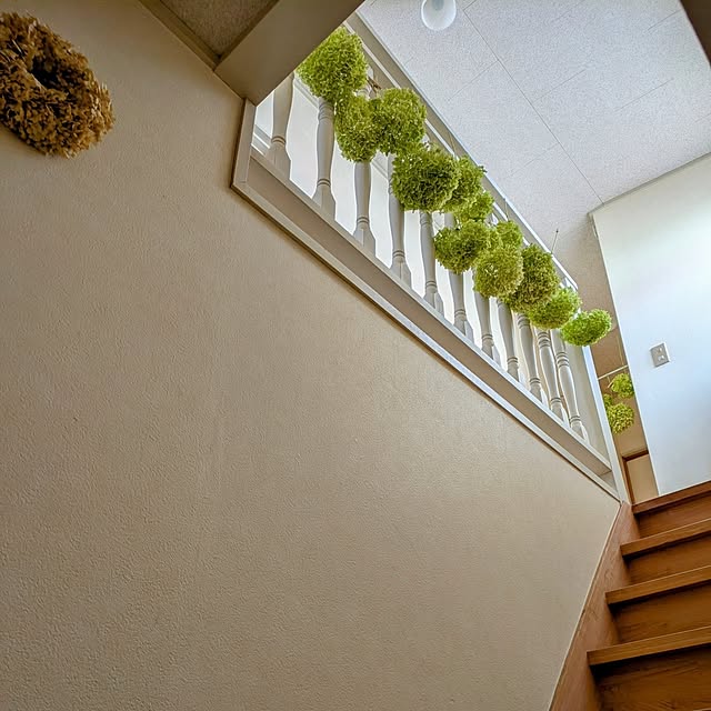 Renさんの実例写真