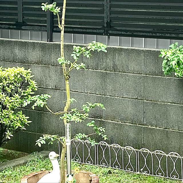 YuuKoさんの実例写真