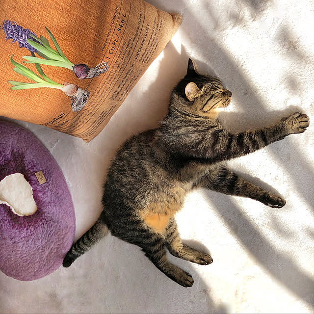 weさんの実例写真