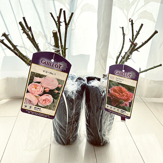 hiromimiさんの部屋