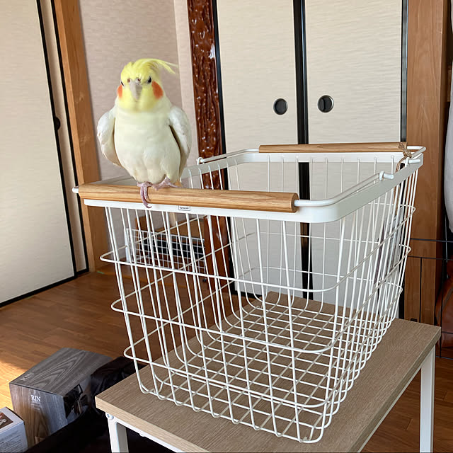toratanさんの実例写真