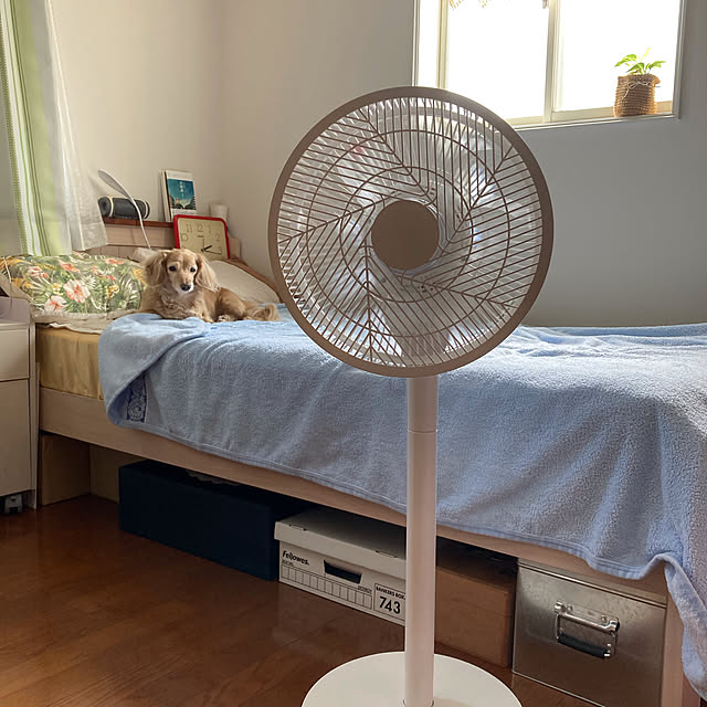 rinrinさんの実例写真