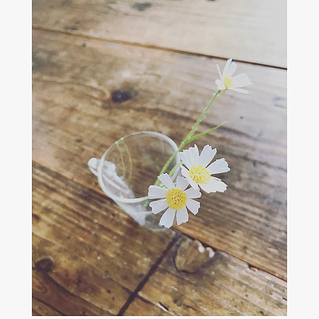 maki_papercraftさんの実例写真