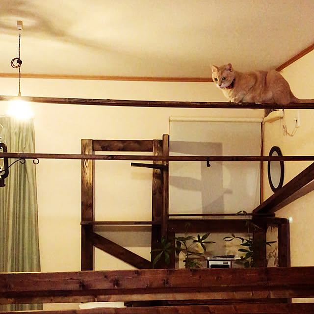 mikan161さんの実例写真