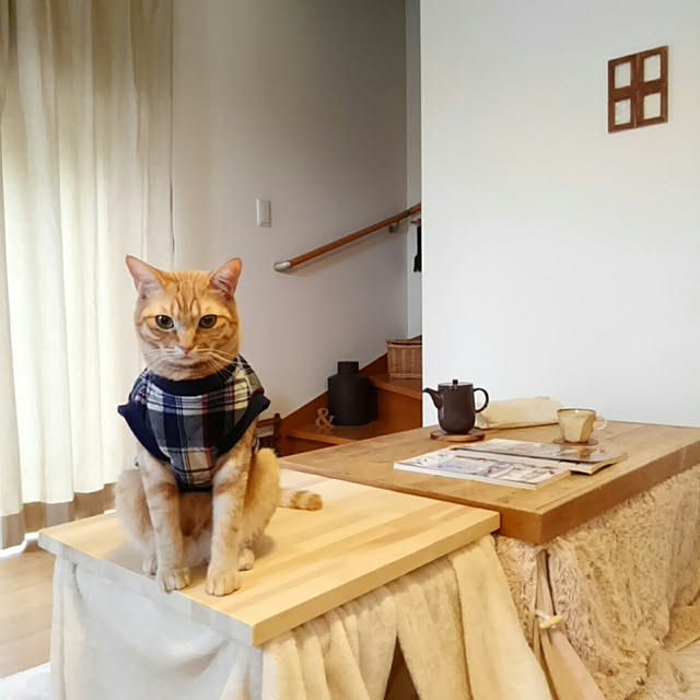 mayutan.さんの実例写真