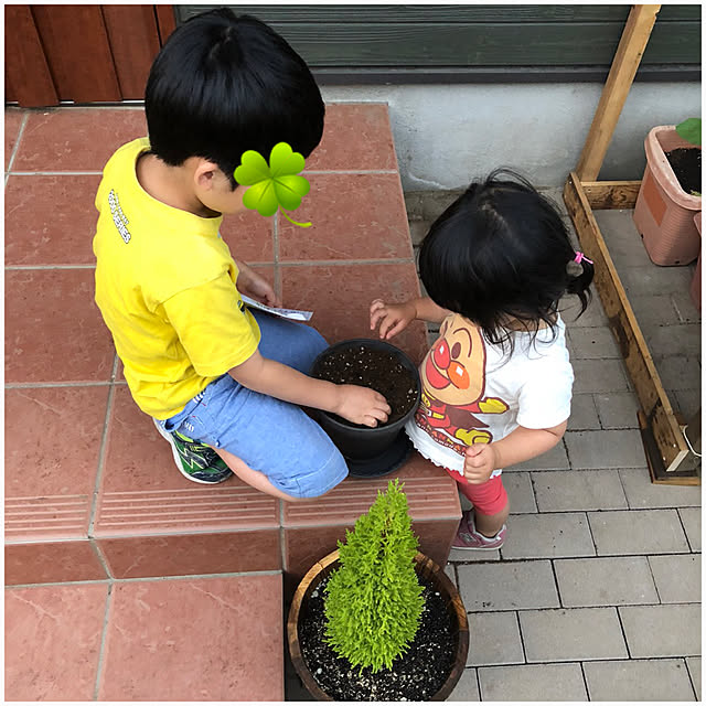 tomoyuzupiさんの実例写真