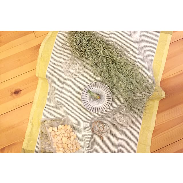 Hisayoさんの実例写真
