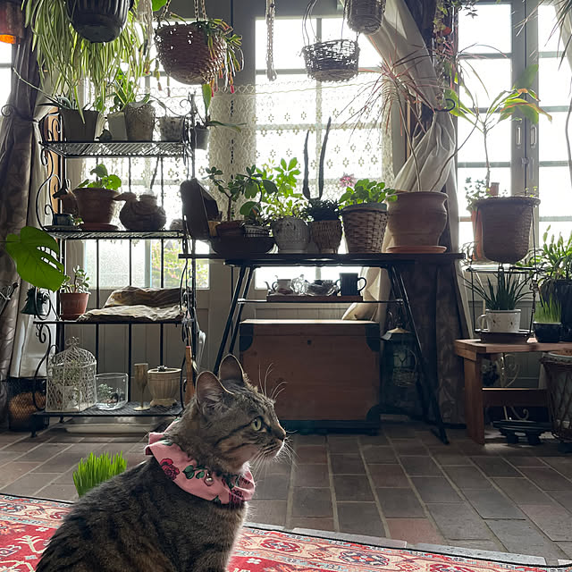 shigimiさんの部屋