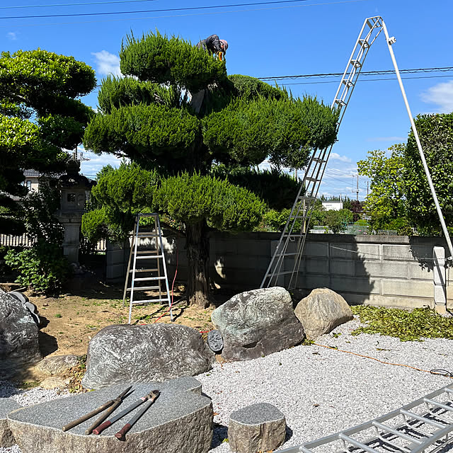 kazu15さんの部屋