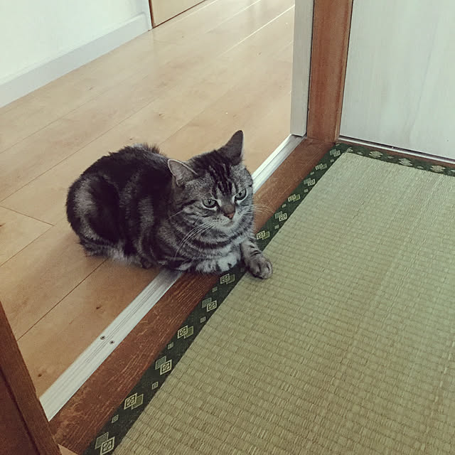 richanさんの実例写真