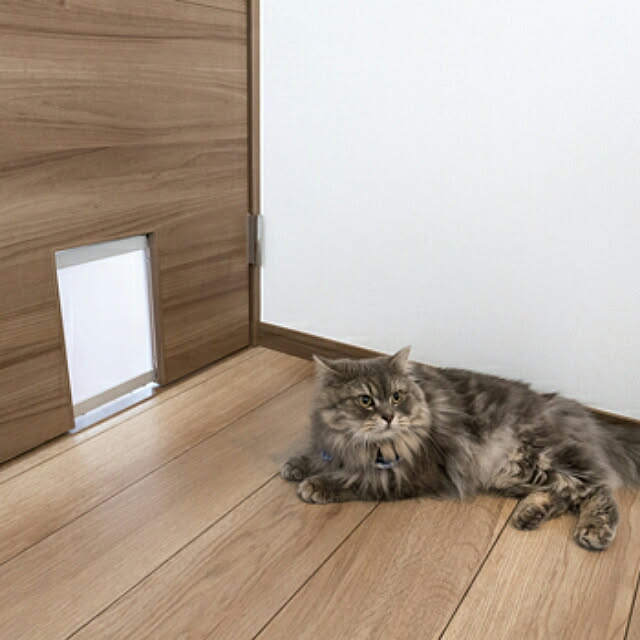 naoさんの実例写真