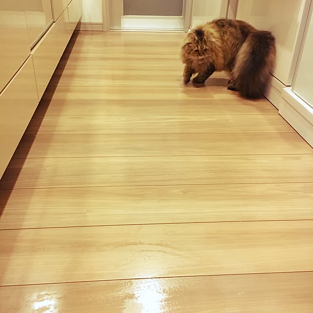 musicsukiさんの実例写真